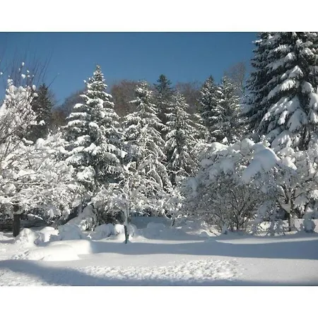 公寓 Pleasant In Baden-wurttemberg *