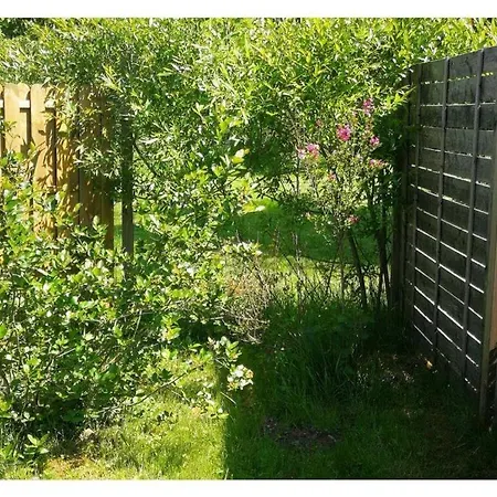 公寓 Pleasant In Baden-wurttemberg Eisenbach (Ravensburg)