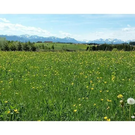 Pleasant In Baden-wurttemberg 公寓 *