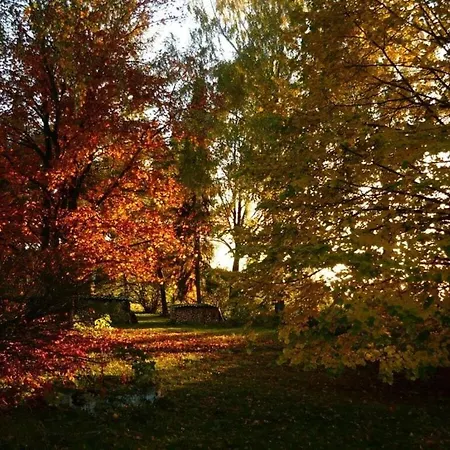 Pleasant In Baden-wurttemberg *